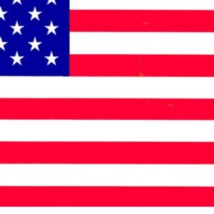 Bangalore to USA courier services